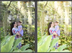 Lightroom Editing Class – Intro to the Program