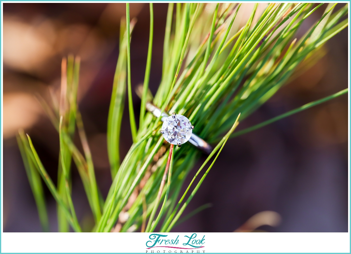 round diamond engagement ring