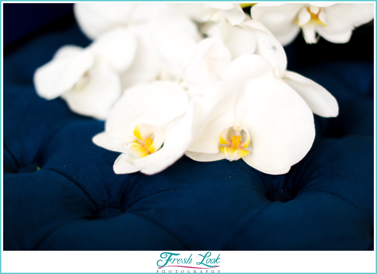 orchids on blue velvet