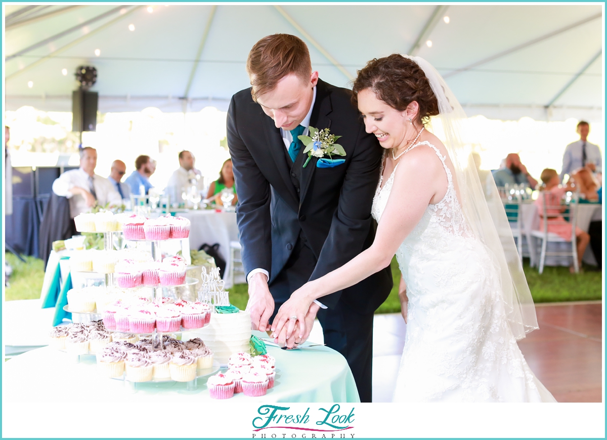 cake cutting at the wedding reception