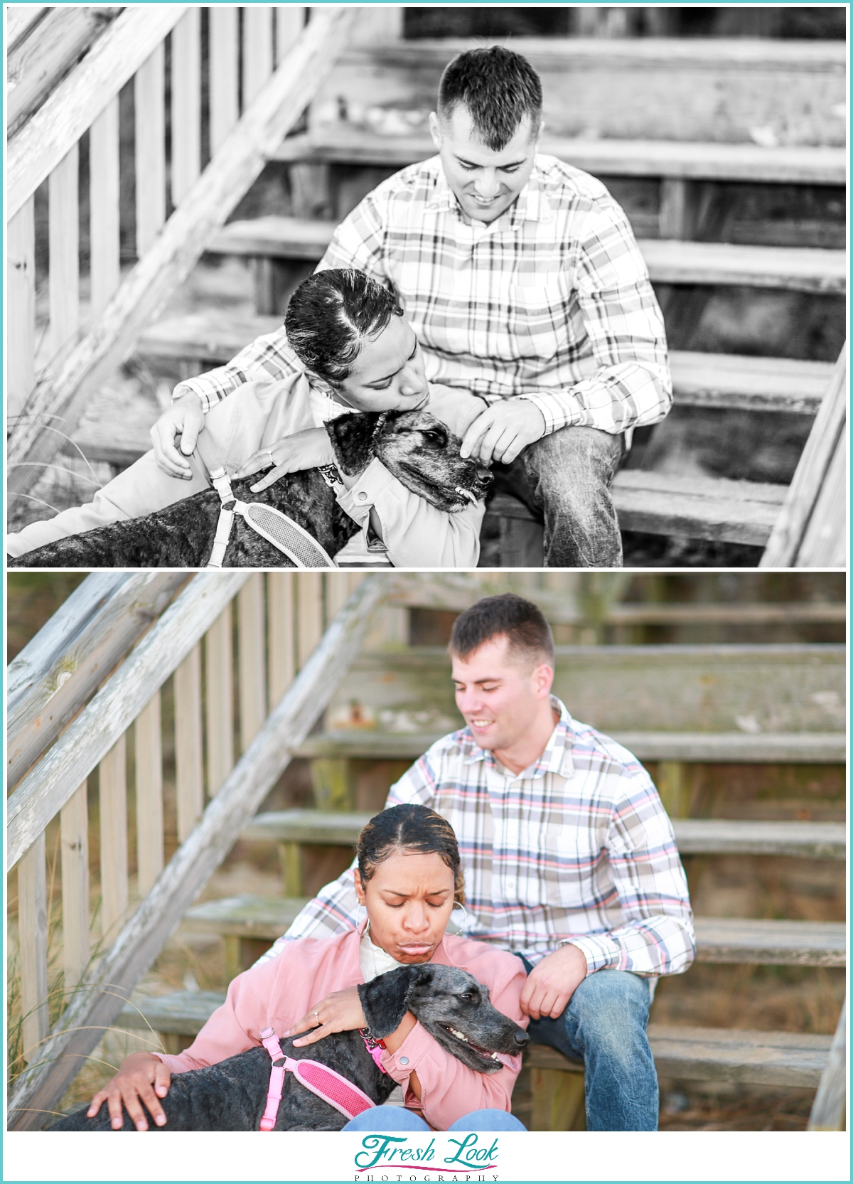 engagement photos with the dog