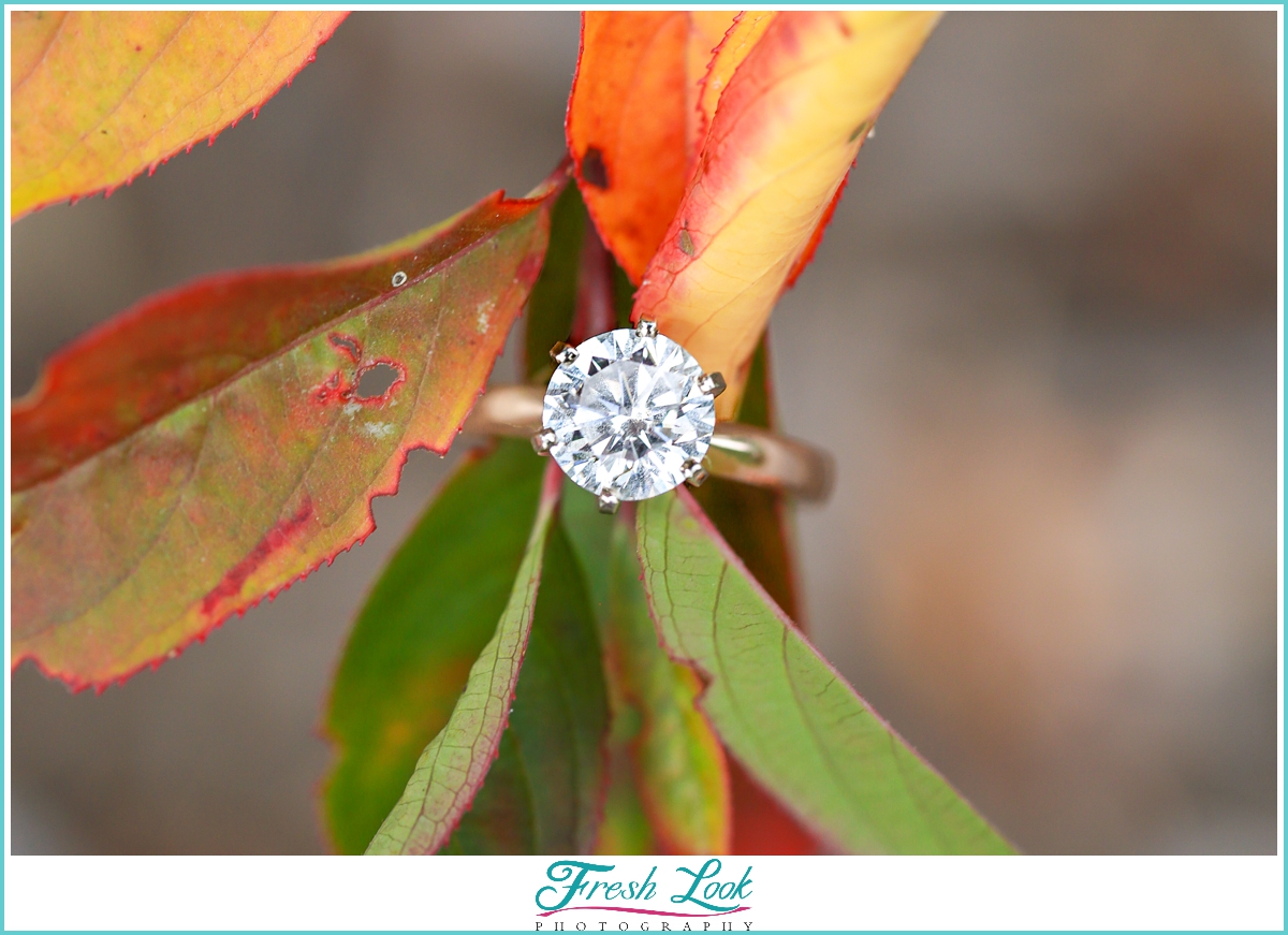 Diamond Engagement Ring in the Fall