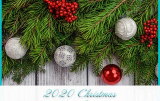 2020 Christmas Mini Sessions