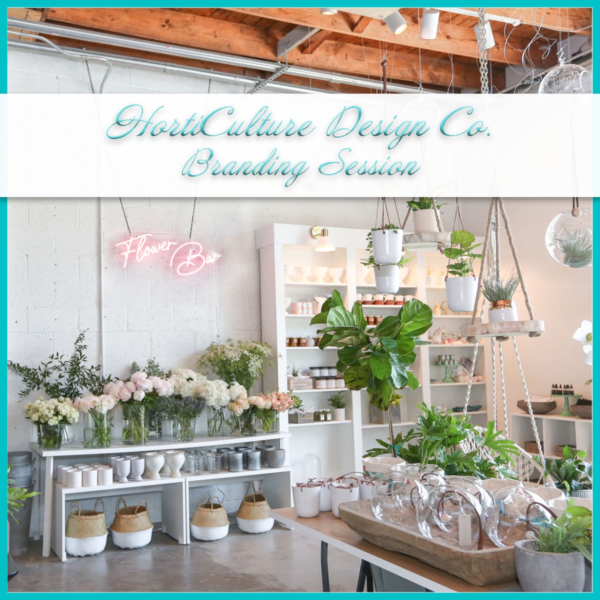 Norfolk Plant Nursery HortiCulture Design Co.