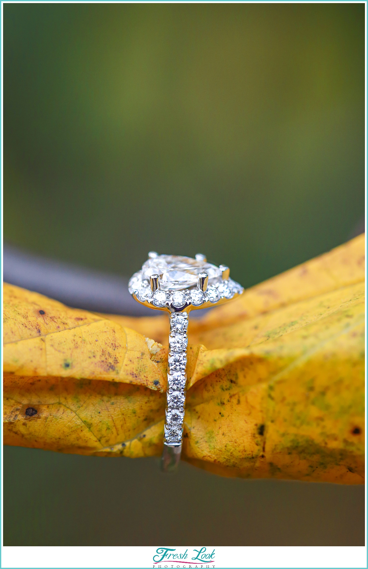 Diamond engagement ring details