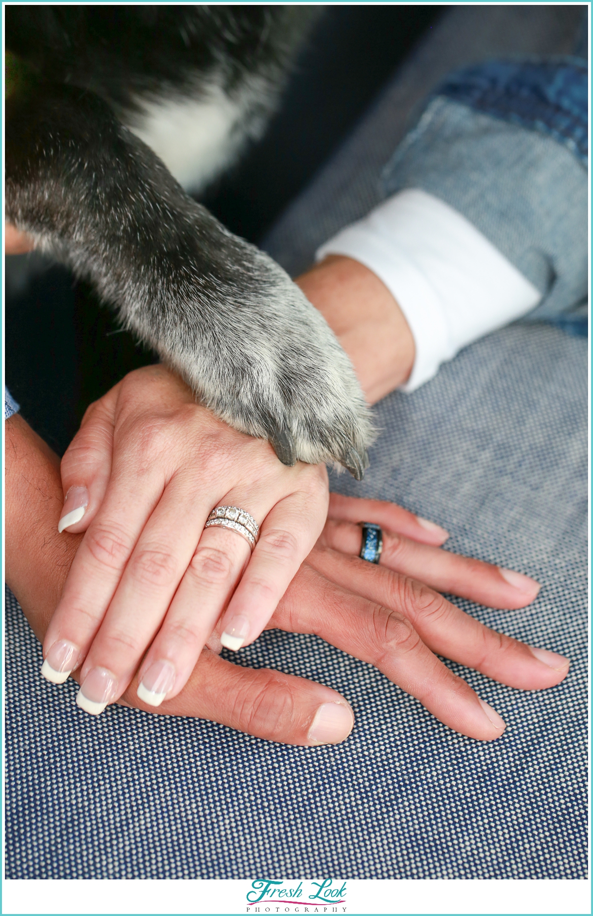 Engagement Photos with the dog