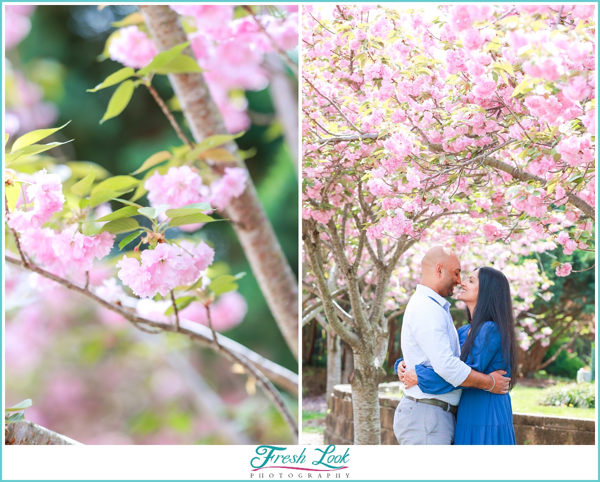 Norfolk Engagement Session