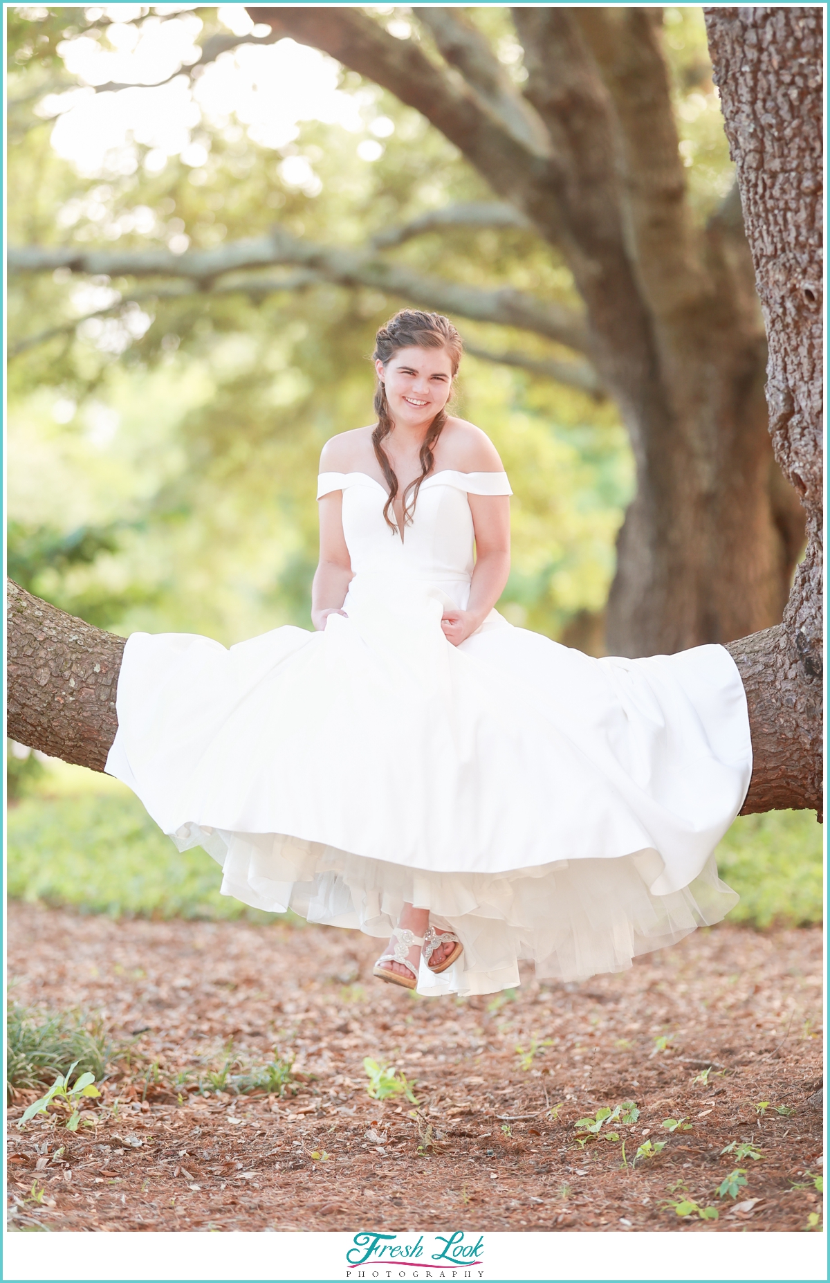 Bridal photos in a tree