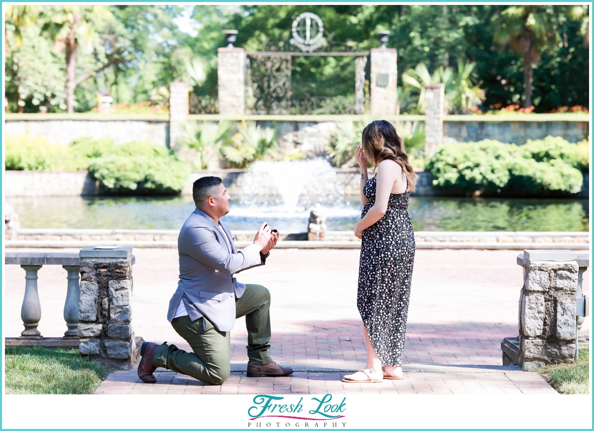 Botanical Gardens Surprise Proposal