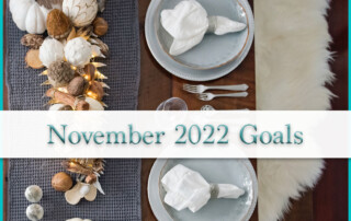 November 2022 Goals