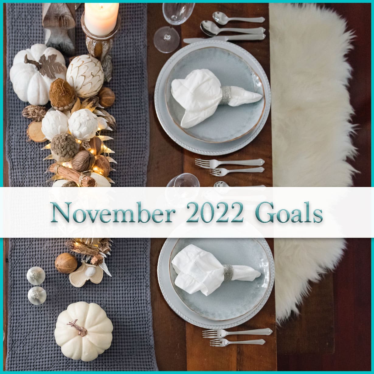 November 2022 Goals