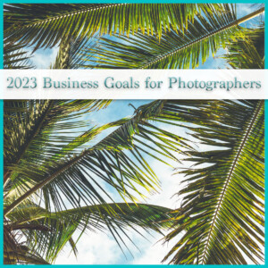 2023 Business Goals for Photographers