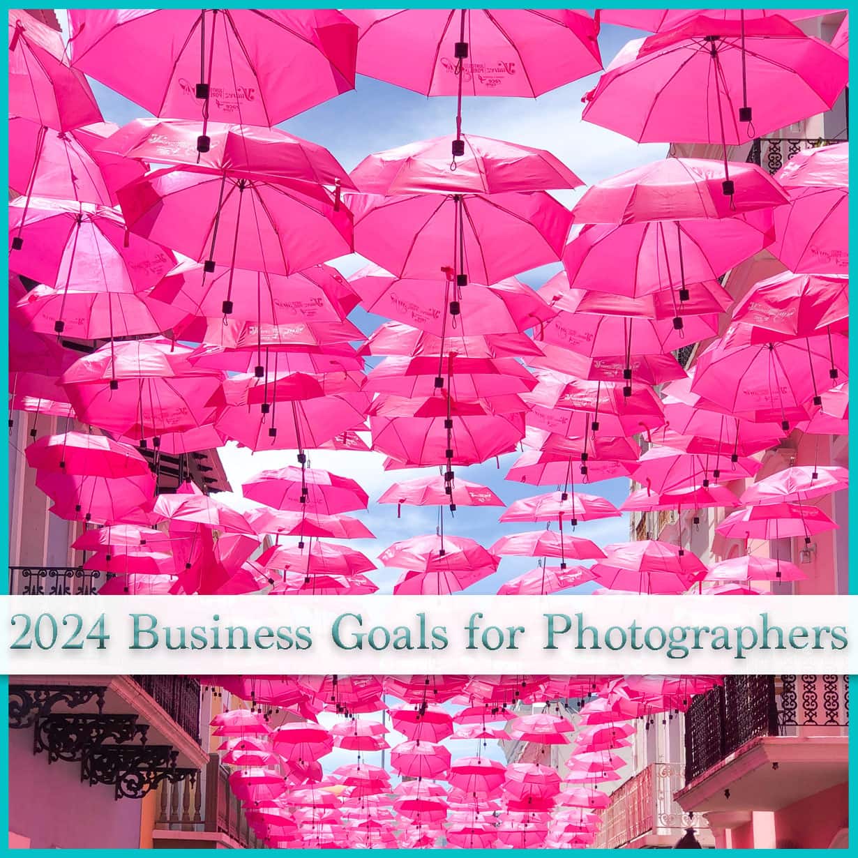 2024 Business Goals for Photographers