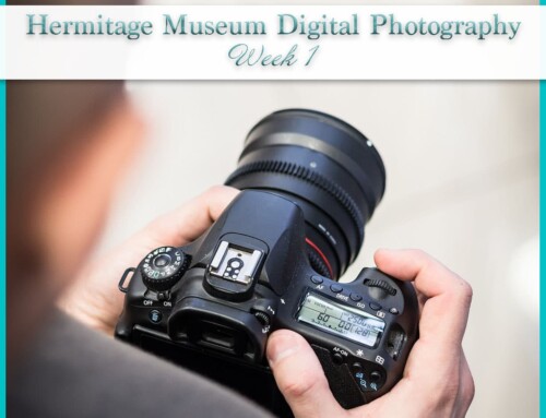 Hermitage Museum Digital Photography | Week 1