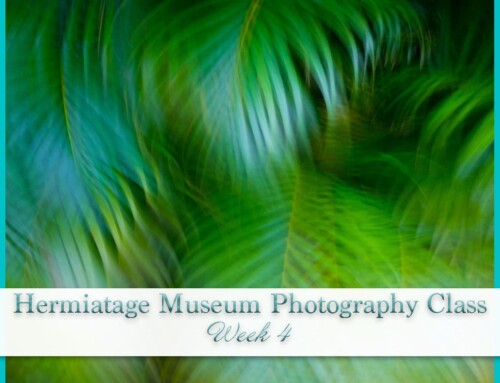 Hermitage Museum Photography | Motion Photography