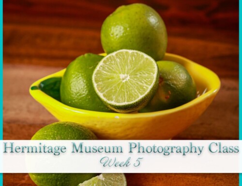 Hermitage Museum Photography | Still Life