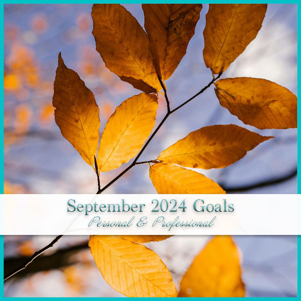 September 2024 Goals