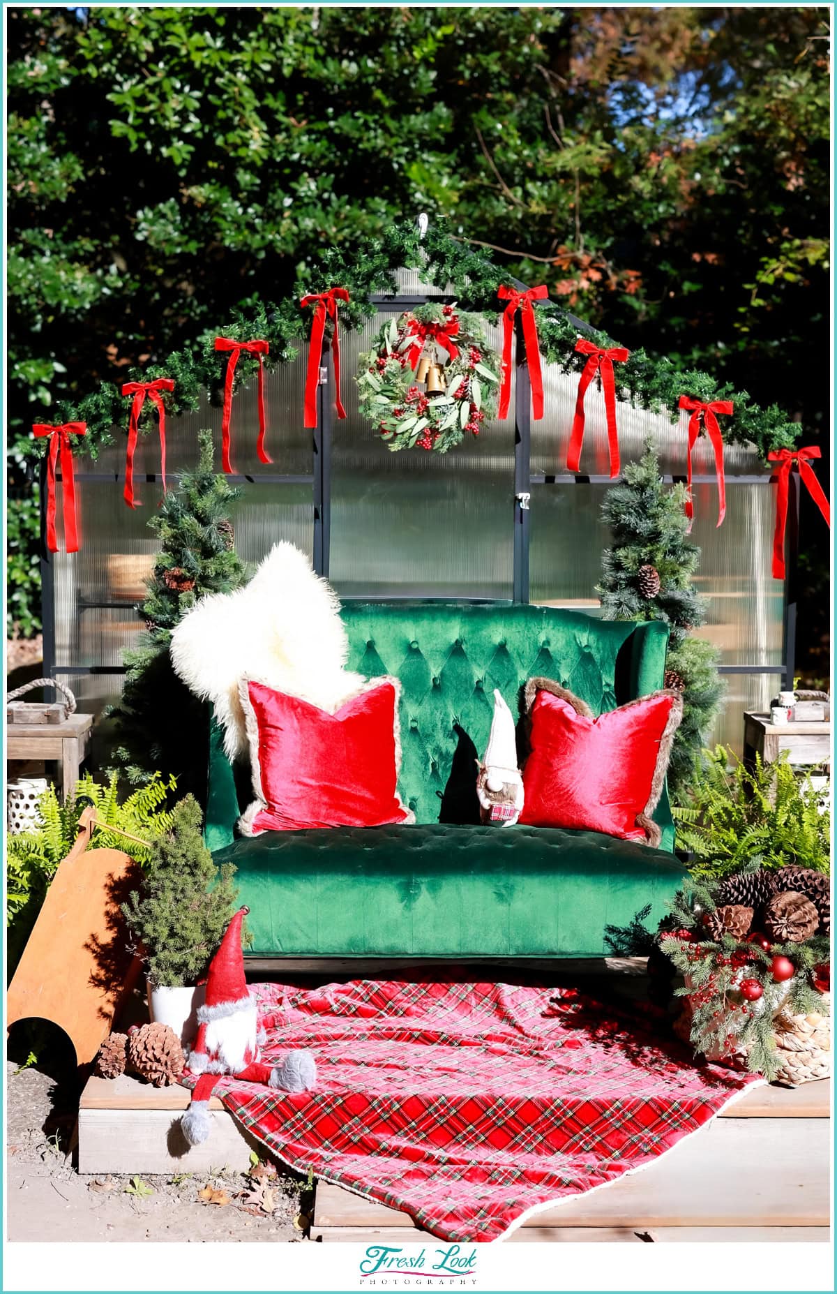 Merry+Bright Mini Sessions